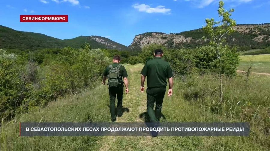 Инспекторы севастопольского лесничества продолжают проводить противопожарные рейды