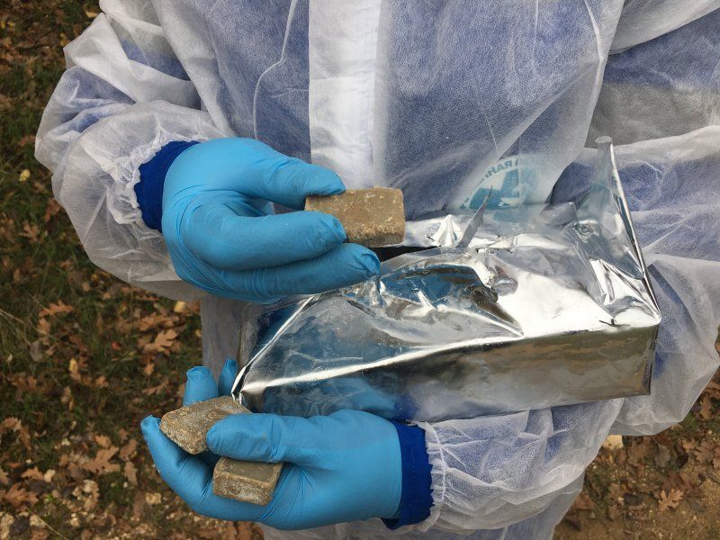 В Севастополе вакцинируют диких животных В Севастополе вакцинируют диких животных