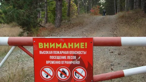В Севастополе введен запрет на посещение лесов до 9 июля