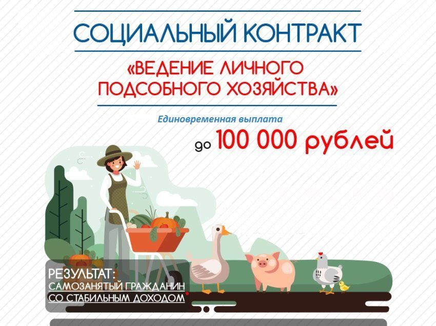 На ведение личного подсобного хозяйства севастопольцы могут получить до 100 тысяч рублей