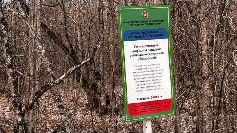 Суд поддержал отказ в прокладке ЛЭП через заказник «Байдарский»