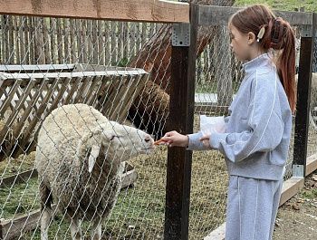 Севастопольские ветеринары провели плановую вакцинацию животных экофермы в «Новом Херсонесе»