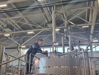 В Севастополе увеличили господдержку молодых специалистов в сельском хозяйстве