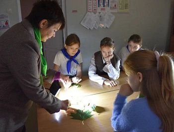 Юные экологи Севастополя сразились за звание лучшего в финале конкурса «ЭКОСТАРТ»