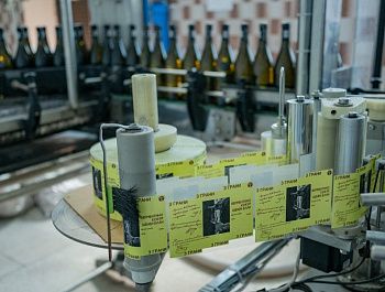 Старейшая винодельня Севастополя закупила новое оборудование и нарастила выпуск премиальных вин благодаря господдержке