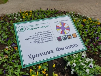 Клумбы по детским рисункам высадили на проспекте Генерала Острякова