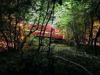 Лесной пожар, возникший в окрестностях Севастополя, удалось локализовать