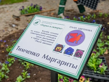 Клумбы по детским рисункам высадили на проспекте Генерала Острякова