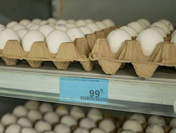 В Севастополе снизились цены на соль, рис, яйца, масло и овощи
