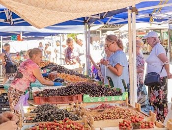 Госветслужба Севастополя ежедневно контролирует безопасность продуктов на официальных рынках