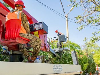 В городе убирают сухие деревья и ветви