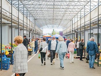 Госветслужба Севастополя исследует овощи и фрукты на безопасность перед их продажей на рынках
