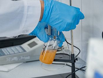 На официальных рынках и ярмарках Севастополя ежедневно проверяют безопасность продуктов