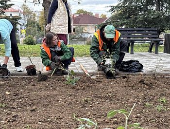 В сквере на улице Генерала Жидилова высадили более 130 растений