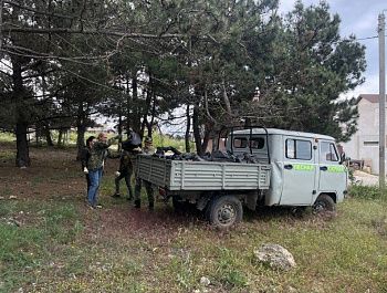 Севастопольские лесничие очистили 1,5 гектара леса