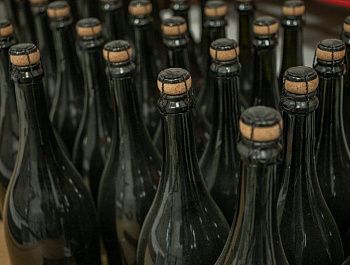 Более 150 выпускников и студентов аграрных специальностей СевГУ востребованы на винодельнях Севастополя