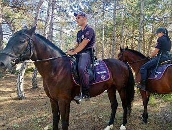 Севастопольские инспекторы и конная полиция усилили патрулирование лесов для предотвращения пожаров