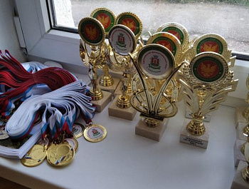 Прошёл чемпионат по Флорболу