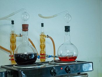 Специалисты винодельческих предприятий вошли в число десяти молодых аграриев, получивших государственную поддержку