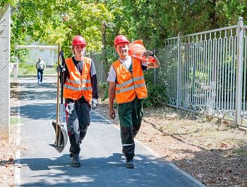 В городе убирают сухие деревья и ветви