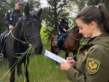 Севастопольские лесничества усилили патрулирование из-за высокой пожарной опасности
