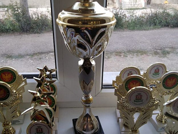Прошёл чемпионат по Флорболу