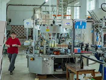 Старейшая винодельня Севастополя закупила новое оборудование и нарастила выпуск премиальных вин благодаря господдержке
