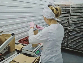 Семь севастопольских предприятий получили сертификат «Сделано в России»