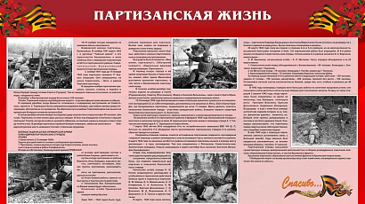 5 Партизанская жизнь