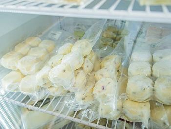 232 социальных контракта заключено в Севастополе с начала года