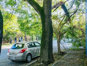 Коммунальные службы ликвидируют последствия непогоды