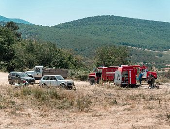 Крупный пожар в севастопольских лесах локализован