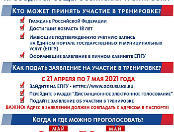 В Севастополе началось тестирование системы дистанционного голосования