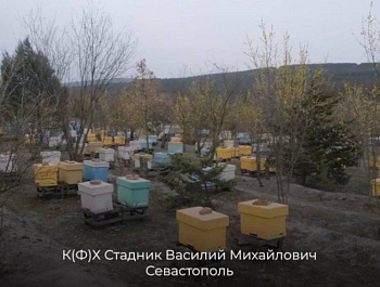 #МыРаботаем: севастопольские предприятия присоединились к всероссийскому флешбому