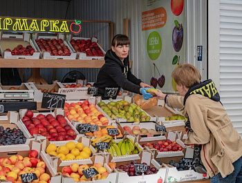 На официальных рынках и ярмарках Севастополя ежедневно проверяют безопасность продуктов