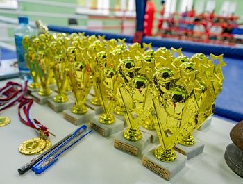 В Верхнесадовом прошел турнир по боксу памяти Героя СВО Игоря Русанова