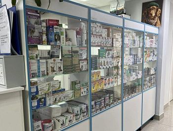 Севастопольские ветеринары составили список безопасной домашней аптечки для питомцев