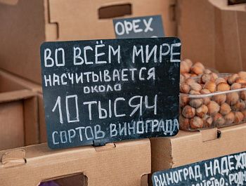 На официальных рынках и ярмарках Севастополя ежедневно проверяют безопасность продуктов