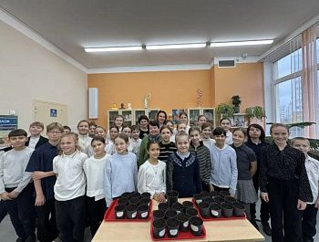 В теплице «Парков и скверов» растут кипарисы, высаженные школьниками