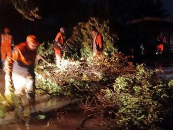 В Севастополе устраняют последствия непогоды