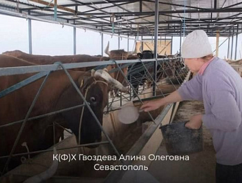 #МыРаботаем: севастопольские предприятия присоединились к всероссийскому флешбому