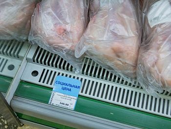 В Севастополе провели еженедельный мониторинг цен на потребительском рынке: не подорожали курица, яйца и овощи