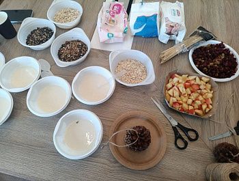 Севастопольские школьники приготовили угощения для птиц