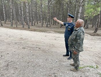 Севастопольские лесные инспекторы усилили патрулирование из-за жаркой погоды