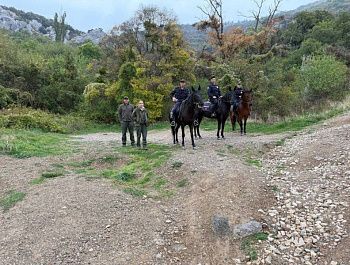Сотрудники Дирекции ООПТ и лесного хозяйства и полиция провели патруль в заказнике «Ласпи»