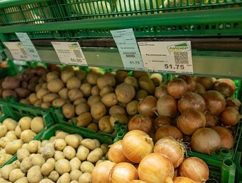 Севастопольские торговые сети сохраняют запасы продуктов и рабочий график в условиях ограничений