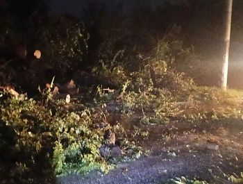 В Севастополе устраняют последствия непогоды