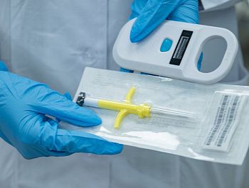 Ветеринары Севастополя бесплатно чипируют собак и кошек