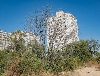 Благоустройство участка напротив дома № 14 на улице Парковой выполнят с учетом пожеланий жителей