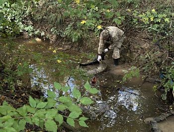 Берега реки Байдарка очистили от мусора к Всероссийскому дню туризма